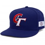 chinese taipei baseball world baseball classic